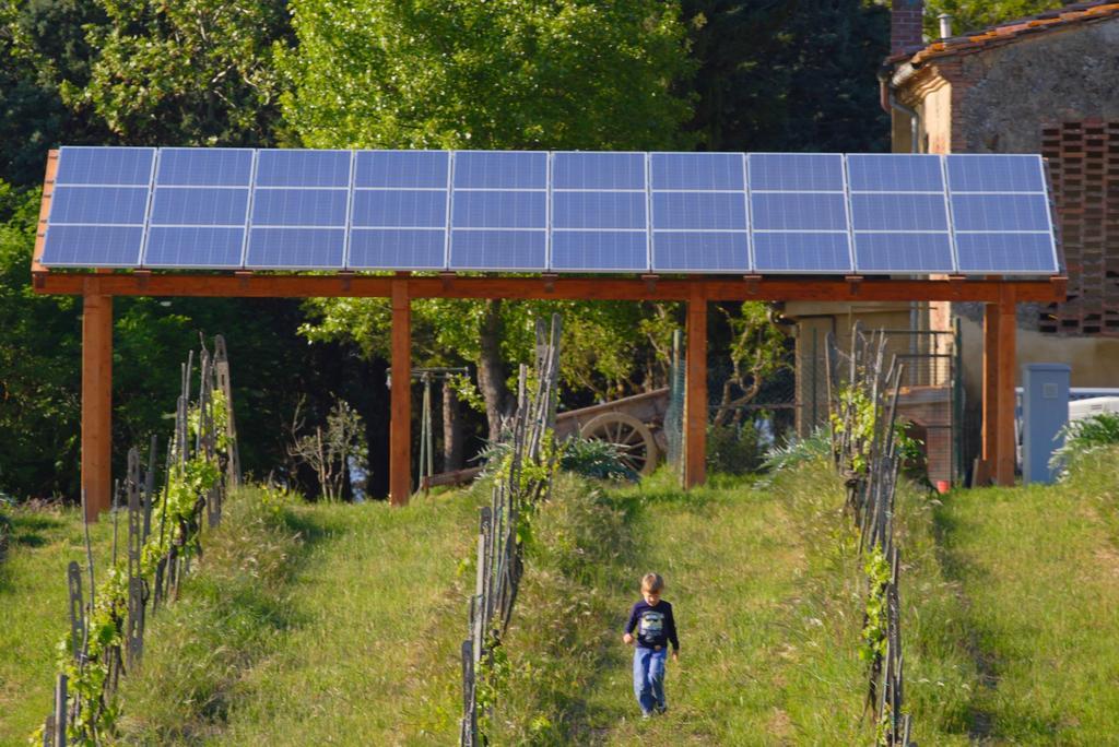 Villa Agriturismo Le Volpaie San Gimignano Exterior foto